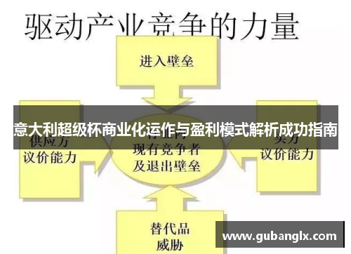 意大利超级杯商业化运作与盈利模式解析成功指南