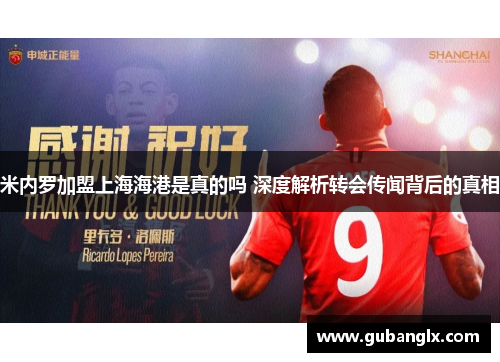 米内罗加盟上海海港是真的吗 深度解析转会传闻背后的真相