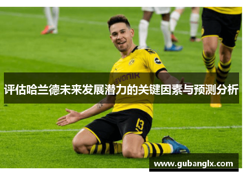 评估哈兰德未来发展潜力的关键因素与预测分析